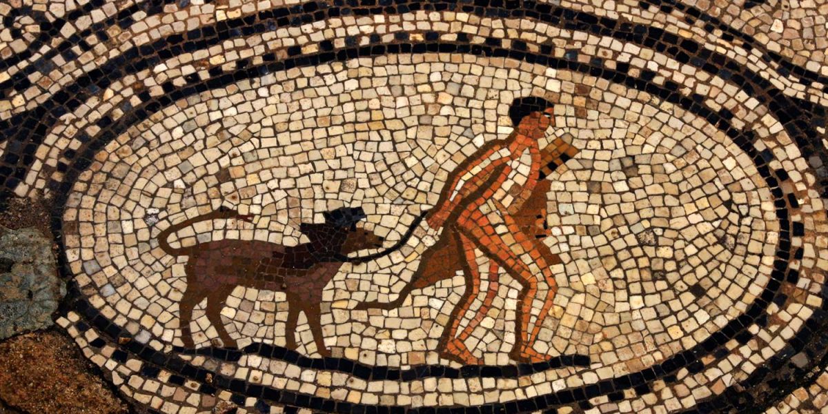 Pet cremation evolution tile mural