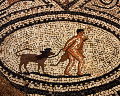 Pet cremation evolution tile mural