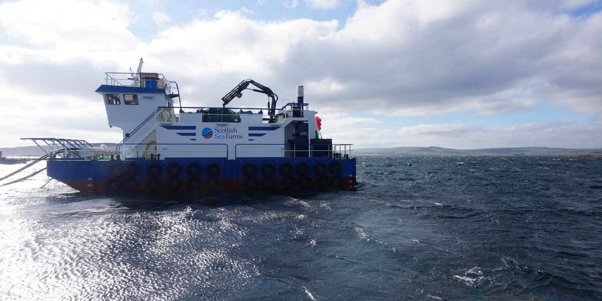 Thunder 1000 - Farming Salmon Incinerator
