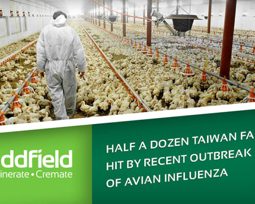 incinerators to dispose of avian infuenza