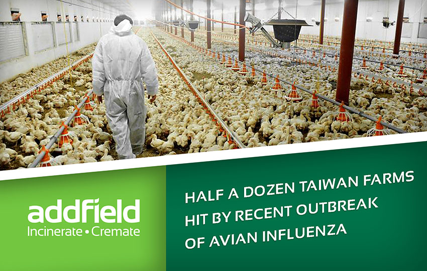 incinerators to dispose of avian infuenza