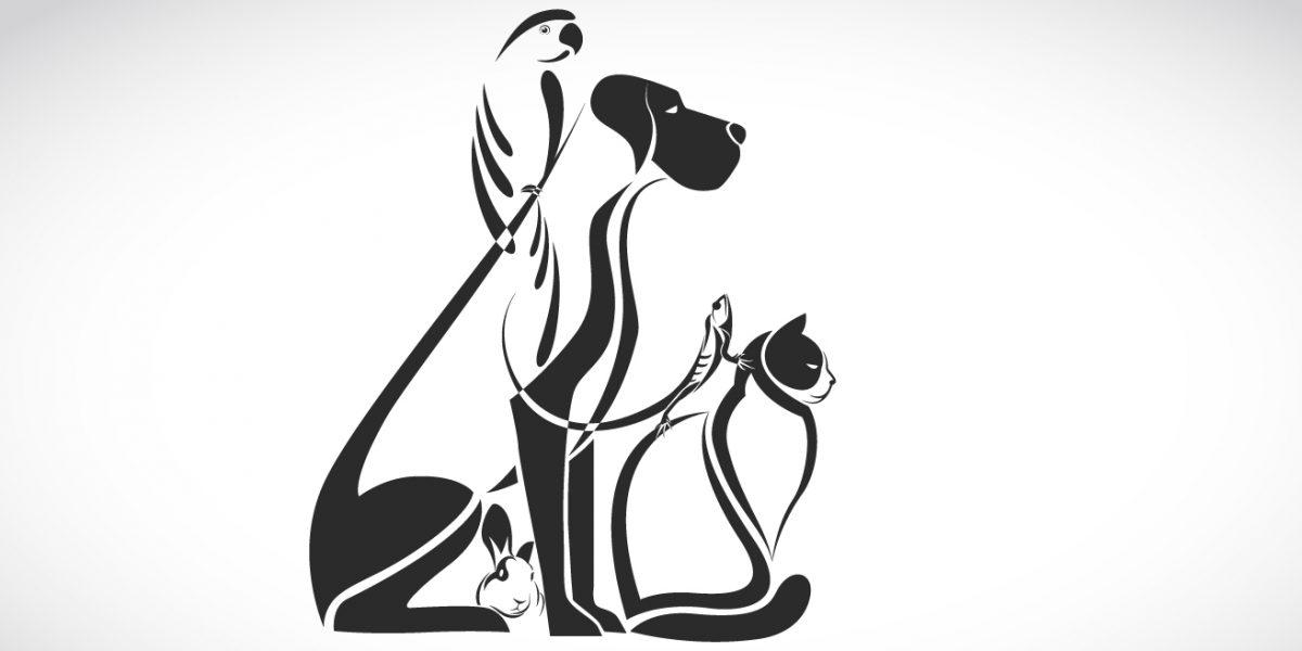 Starting your Pet Cremation business
