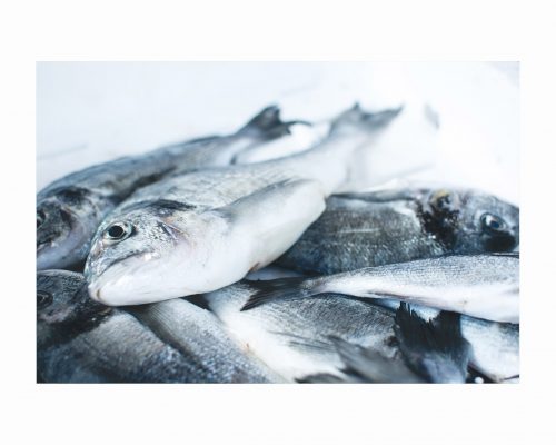Frozen salmon