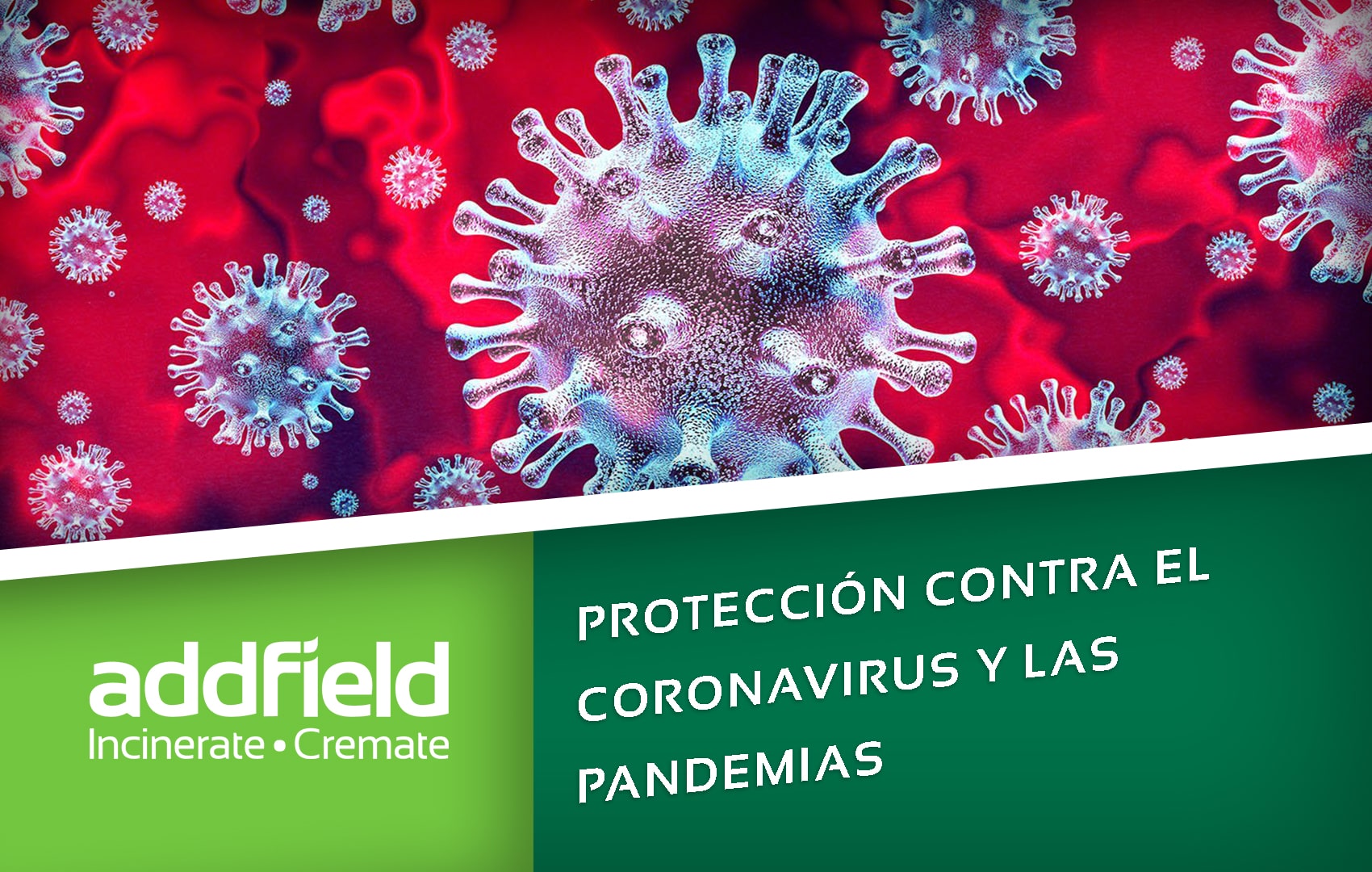 proteccion contra el coronavirus y las pandemias