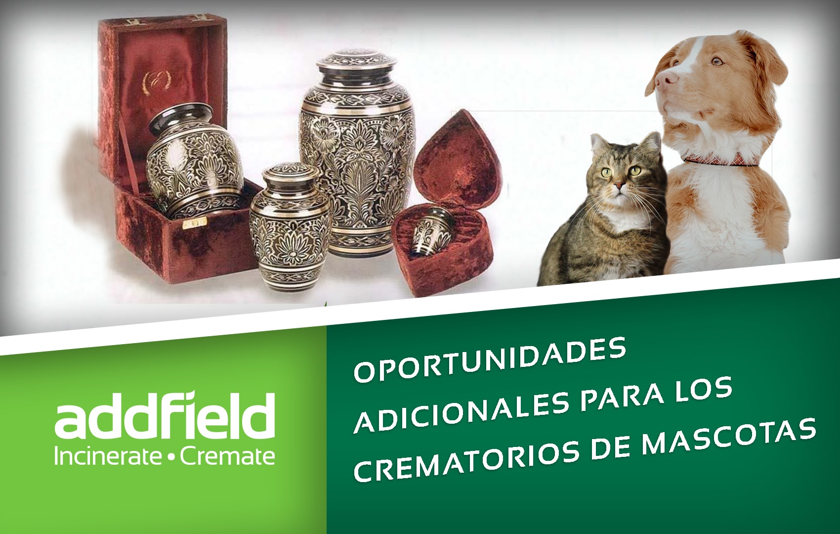 oportunidades adicionales para los crematorios de mascotas