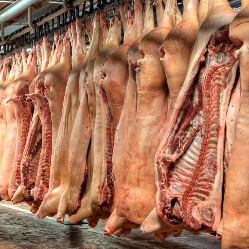 Meat in a slaughterhouse