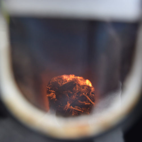 Burning poultry in an incinerator