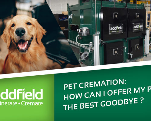 Premum Pet Cremator with a dog