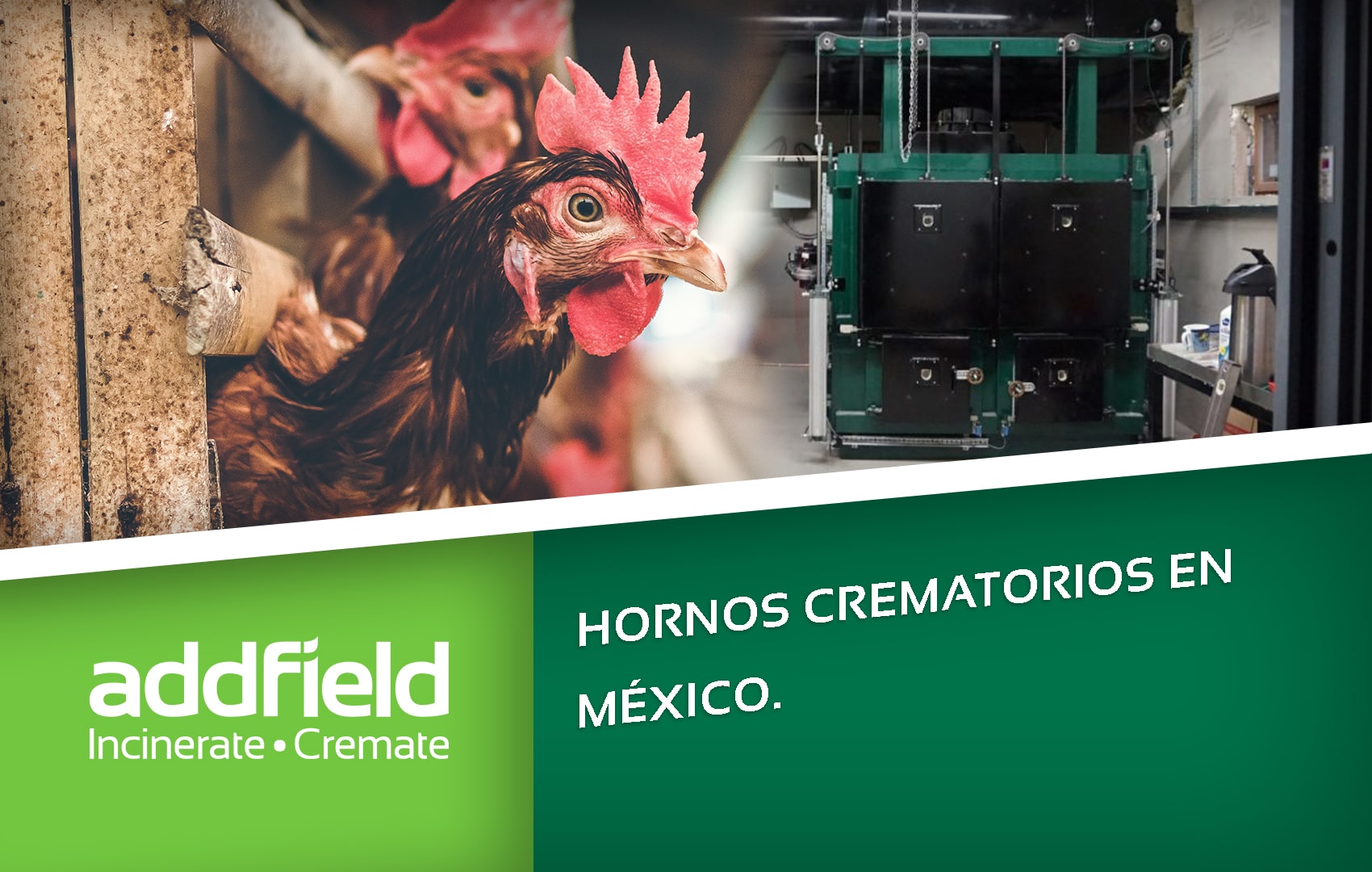 Hornos Crematorios en México