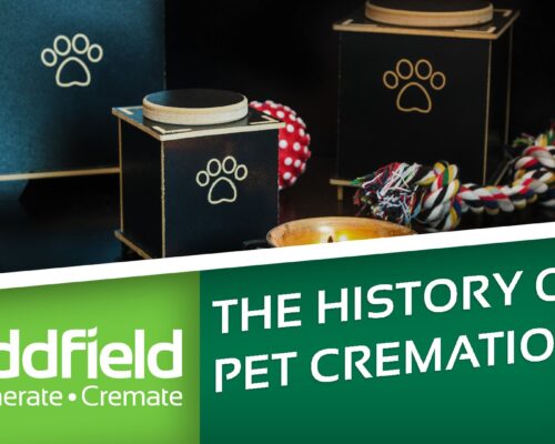 The Complete History of Pet Cremation cover