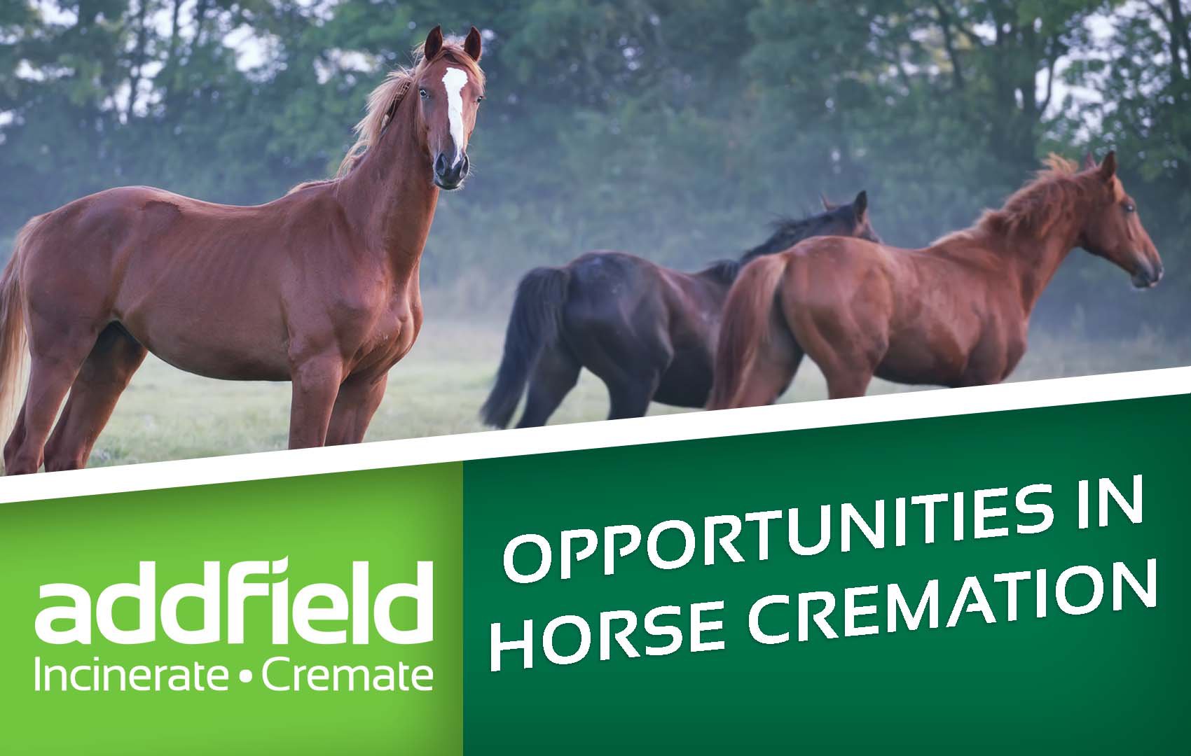 Your opportunities in Horse Cremation cover