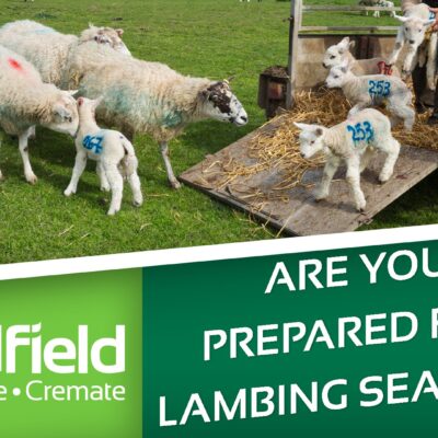 Be Prepared for Lambing Season cover