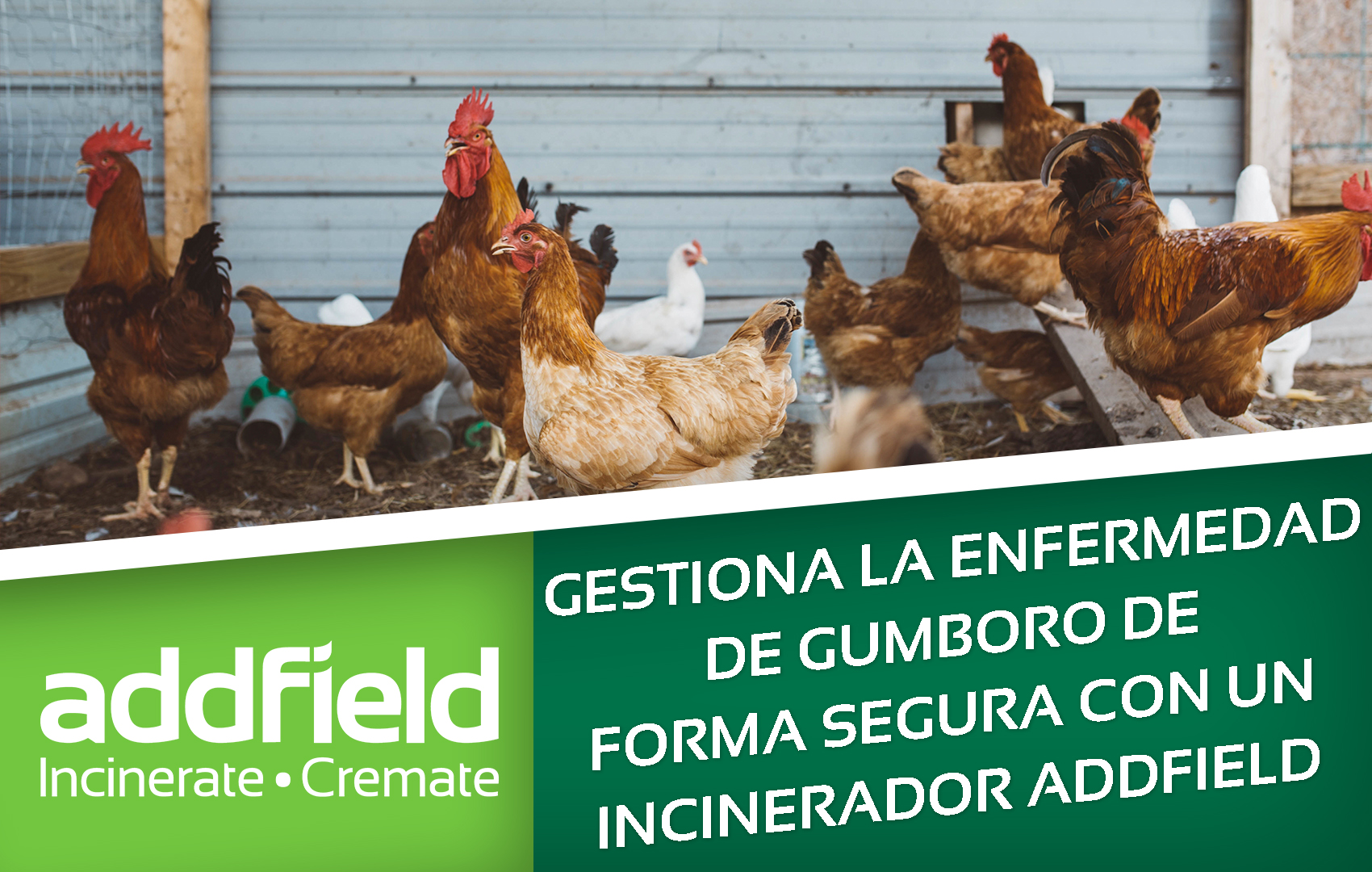 Adfield blog