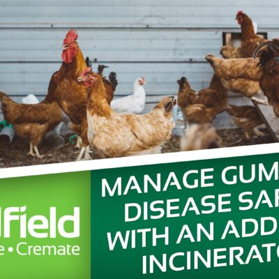 Gumboro Disease: Why On-Site Incineration Matters for Poultry Biosecurity cover